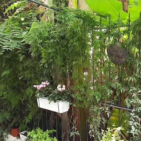 A Casa Di Sandro